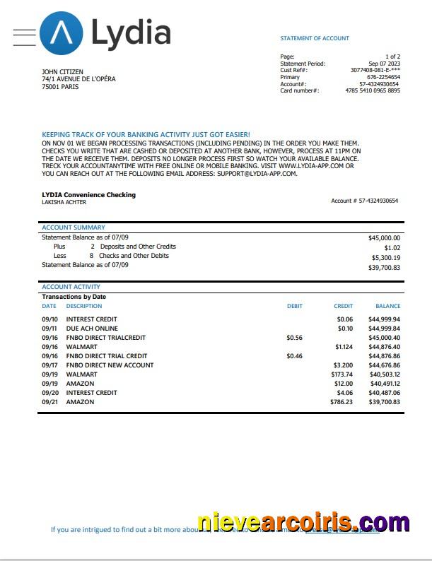 France Lydia Noir bank statement, Word and PDF format